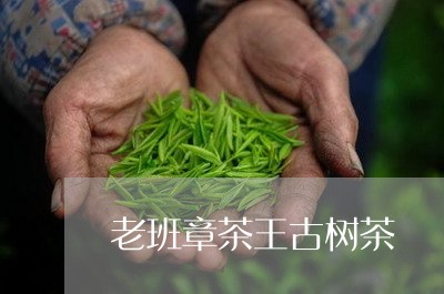 老班章茶王古树茶/2023032953925