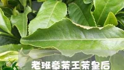 老班章茶王茶皇后/2023032987583