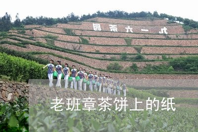 老班章茶饼上的纸/2023032903859