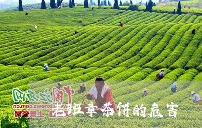 老班章茶饼的危害/2023032900572