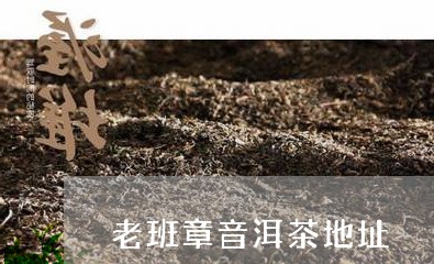 老班章音洱茶地址/2023032966361