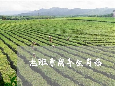 老班章鼠年生肖茶/2023032939714