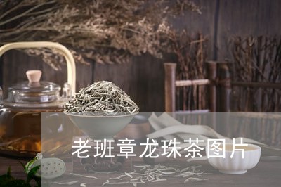 老班章龙珠茶图片/2023032832602