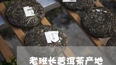 老班长普洱茶产地/2023041254947