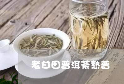 老甘田普洱茶熟普/2023033177158