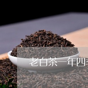 老白茶一年四季可以喝吗/2023032748391