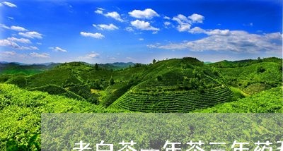 老白茶一年茶三年药五年/2023032712706