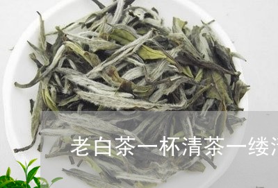 老白茶一杯清茶一缕清香/2023032716347