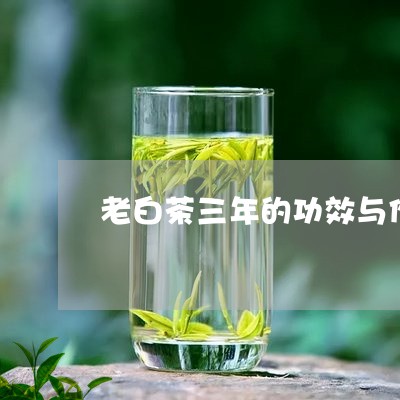 老白茶三年的功效与作用/2023032747269