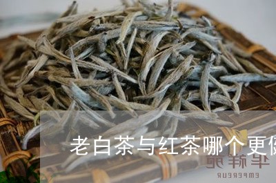 老白茶与红茶哪个更健康/2023032720492