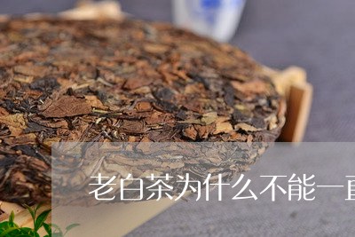 老白茶为什么不能一直煮/2023032783795