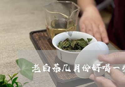 老白茶几月份好喝一些呀/2023032756147