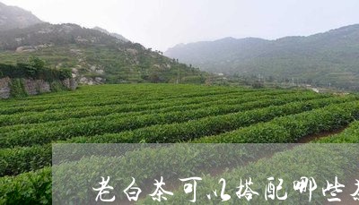 老白茶可以搭配哪些茶点/2023032728473