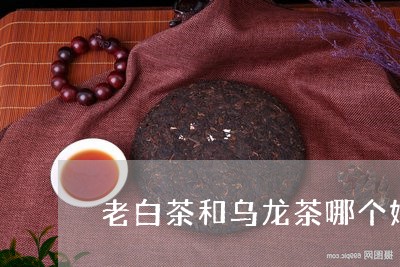 老白茶和乌龙茶哪个好喝/2023032726260