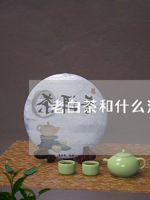 老白茶和什么泡茶喝茶好/2023032763806