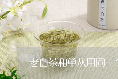 老白茶和单从用同一个壶/2023032798370