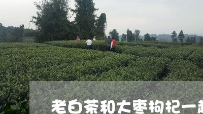 老白茶和大枣枸杞一起煮/2023032793825