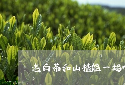 老白茶和山楂能一起喝吗/2023032744047