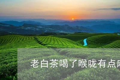 老白茶喝了喉咙有点麻涩/2023032675059