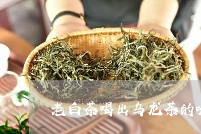 老白茶喝出乌龙茶的味道/2023032758494