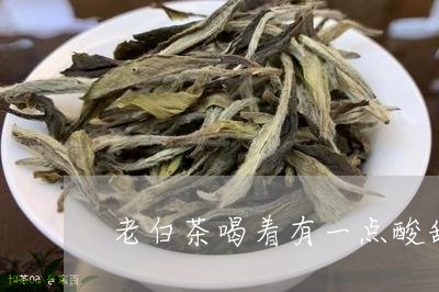 老白茶喝着有一点酸甜味/2023032769462