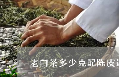 老白茶多少克配陈皮最好/2023032778482