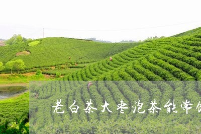 老白茶大枣泡茶能常饮吗/2023032736268