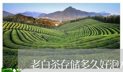 老白茶存储多久好泡水喝/2023032725939