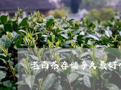 老白茶存储多久最好喝呢/2023032781794