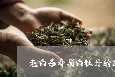 老白茶寿眉白牡丹的区别/2023032895958