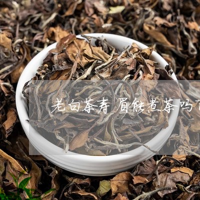 老白茶寿眉能煮茶吗百度/2023032838173