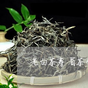 老白茶寿眉茶饼没枣香味/2023032839292