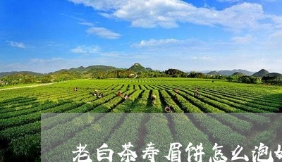 老白茶寿眉饼怎么泡好喝/2023032889504