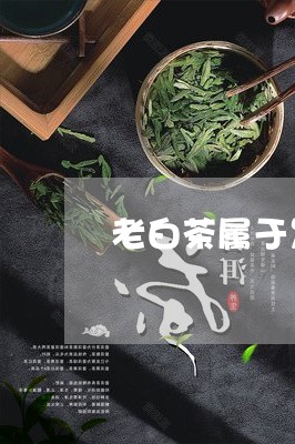 老白茶属于发酵类的茶吗/2023032816272