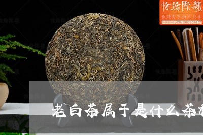 老白茶属于是什么茶种的/2023032858350