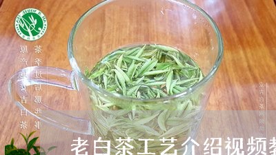 老白茶工艺介绍视频教程/2023032811823