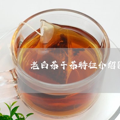 老白茶干茶特征介绍图解/2023032889580