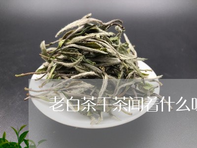 老白茶干茶闻着什么味啊/2023032898614