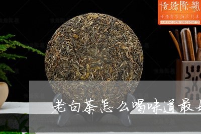 老白茶怎么喝味道最好闻/2023032868370