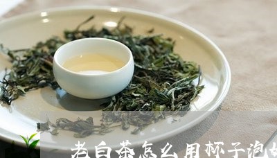 老白茶怎么用杯子泡好喝/2023032853948