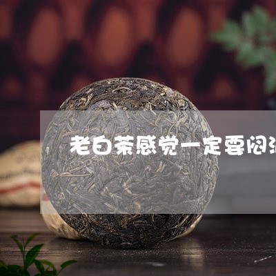 老白茶感觉一定要闷泡吗/2023032804351