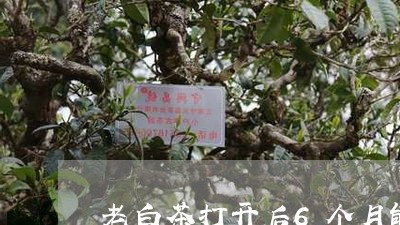 老白茶打开后6个月能喝吗/2023033020746