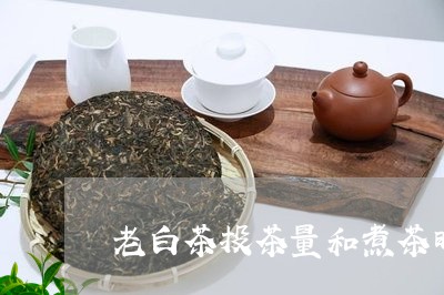 老白茶投茶量和煮茶时间/2023032847249