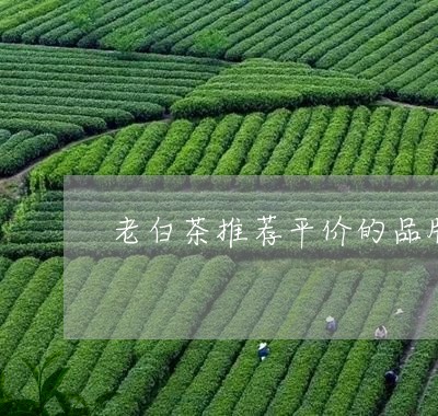 老白茶推荐平价的品牌是/2023032849593