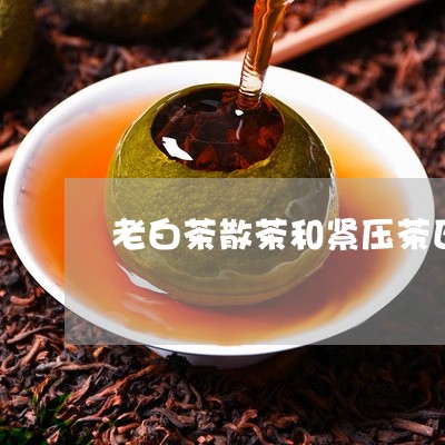 老白茶散茶和紧压茶区别/2023032824261