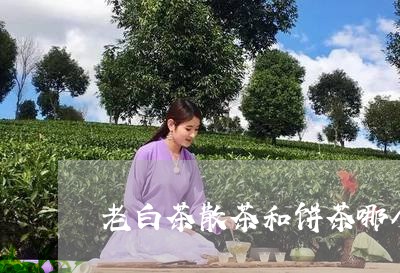 老白茶散茶和饼茶哪个好/2023032837282