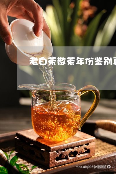 老白茶散茶年份鉴别真假/2023032879804