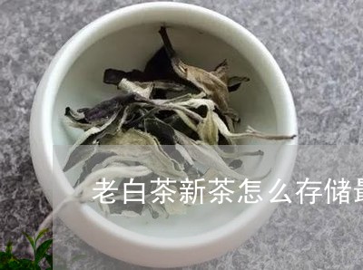 老白茶新茶怎么存储最好/2023032882816