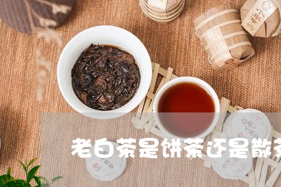 老白茶是饼茶还是散茶好/2023032881815