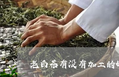 老白茶有没有加工的好处/2023032815251